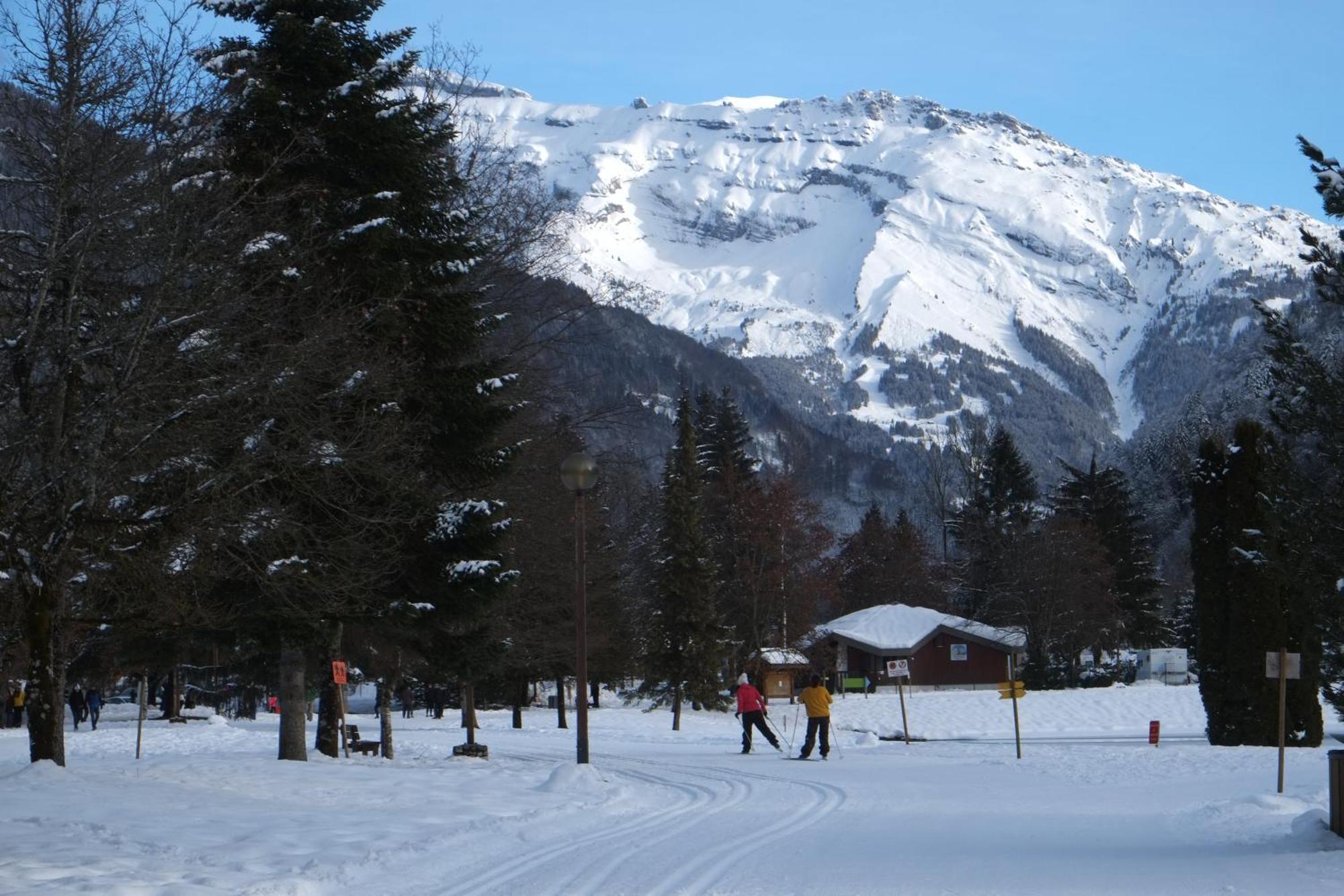 Particulier Loue 2 Appartements Communicants Dans Chalet A Samoens Jusqu A 16 Couchages エクステリア 写真