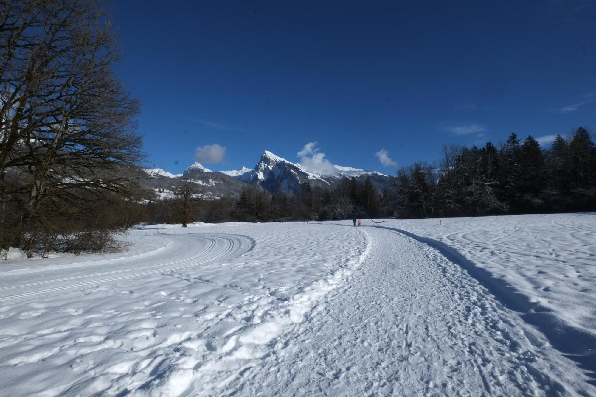 Particulier Loue 2 Appartements Communicants Dans Chalet A Samoens Jusqu A 16 Couchages エクステリア 写真